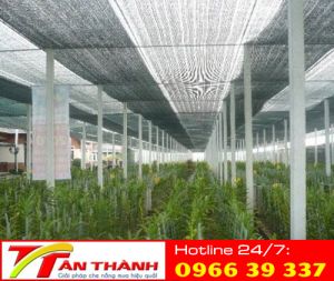 Lưới che giàn, vườn hoa lan